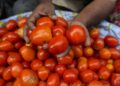 Tomato Price Hike