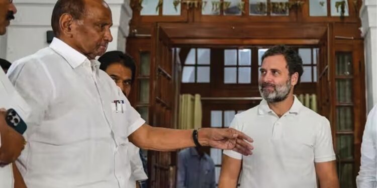 Rahul Gandhi meet sharad pawar