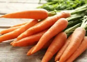 #HEALTH : वजन कमी करण्यापासून चमकदार त्वचेपर्यंत गाजर खाण्याचे आश्चर्यकारक फायदे