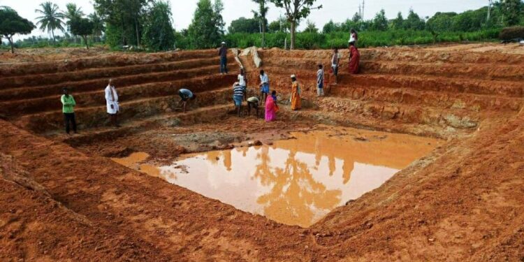 कृषी : जलाशयाखालील गाळपेर जमिनीवर चारा पिके घेण्यास मान्यता, दुष्काळ सदृश्य परिस्थितीत शासन निर्णय निर्गमित