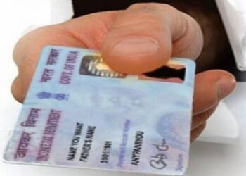 FACT CHECK : पॅनकार्ड तुटल्यास काय करावे, वाचा सविस्तर माहिती