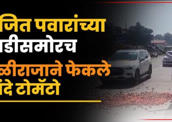 Nashik : उपमुख्यमंत्री अजित पवारांच्या गाडीसमोरच बळीराजाने फेकले कांदे टोमॅटो