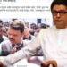 भाजपकुमार थापाडे ! टोलमुक्त महाराष्ट्र झाला आणि हे महाराष्ट्राला देखील कळलं नाही ! मनसेची फडणवीसांवर बोचरी टीका
