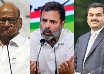 “अदानींसोबत झालेल्या बैठकीबाबत शरद पवार यांना विचारणा केली का ? राहुल गांधी यांनी स्पष्टच सांगितले…
