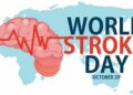World Stroke Day 2023 : स्ट्रोकचा धोका कमी करण्यासाठी आजच ‘या’ पदार्थांना आपल्या आहाराचा भाग बनवा