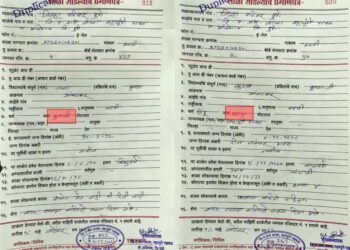एक भाऊ मराठा-दुसरा कुणबी ? सख्ख्या भावांच्या दाखल्यावर वेगवेगळ्या नोंदी ! राज्यात असे प्रकार समोर येण्याची शक्यता