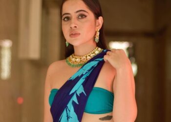 विक्षिप्त कपडे घालणं उर्फीला पडलं महागात; पोलिसांनी हाताला धरून बसवला पोलीस व्हॅनमध्ये, आणि मग पहा VIDEO