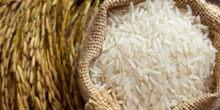 Global Market : बासमती तांदळावरील MEP कमी केल्याने निर्यात वाढली; दरात 10 टक्के वाढ होण्याची शक्यता