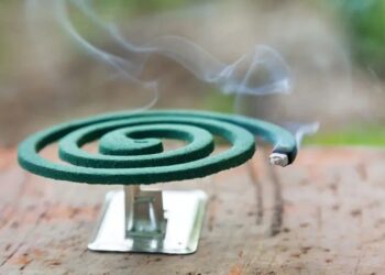 वायु प्रदूषणात झालेली वाढ पाहता महाराष्ट्र सरकारने फटाक्यांसोबतच अगरबत्ती आणि कॉइलचा वापर टाळण्याचा दिला सल्ला