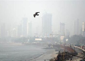 मुंबई वायू प्रदूषण : धूळ बसवण्यासाठी टँकरने करणार पाण्याचे फवारे, मुख्यमंत्र्यांच्या बैठकीत काय झाले निर्णय , वाचा सविस्तर