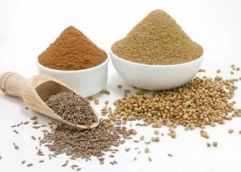 HEALTH TIPS : ओवा, जिरे आणि काळे मीठ यांचे मिश्रण अनेक आजारांवर रामबाण उपाय