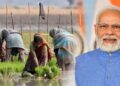 चांगली बातमी ! शेतकऱ्यांच्या खात्यात लवकरच जमा होणार पीएम किसान योजनेचा 15 वा हप्ता