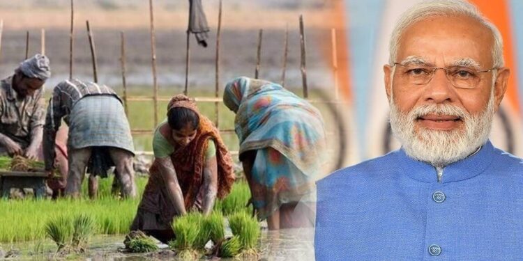 चांगली बातमी ! शेतकऱ्यांच्या खात्यात लवकरच जमा होणार पीएम किसान योजनेचा 15 वा हप्ता