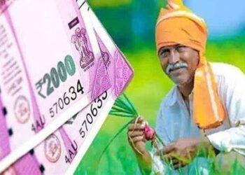 Cabinet Meeting : प्रधानमंत्री पीक विमा योजनेतील अग्रीम रकमेचे वाटप सुरु; आतापर्यंत 965 कोटी रुपये शेतकऱ्यांना वाटप