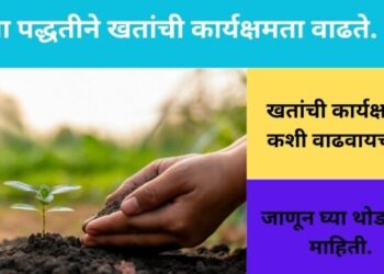 Agriculture : खतांची कार्यक्षमता वाढविण्यासाठी काय उपाययोजना कराव्यात, वाचा हि सविस्तर माहिती