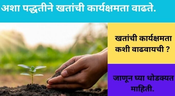 Agriculture : खतांची कार्यक्षमता वाढविण्यासाठी काय उपाययोजना कराव्यात, वाचा हि सविस्तर माहिती