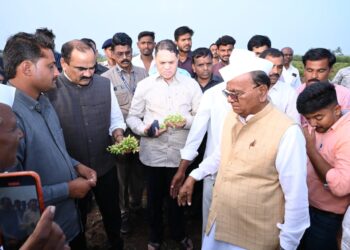 HEAVY RAIN : सहकार मंत्री दिलीप वळसे पाटील यांची आंबेगाव व शिरुर तालुक्यातील नुकसानग्रस्त भागाला भेट; शेतकऱ्यांना दिलासा