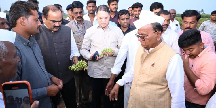 HEAVY RAIN : सहकार मंत्री दिलीप वळसे पाटील यांची आंबेगाव व शिरुर तालुक्यातील नुकसानग्रस्त भागाला भेट; शेतकऱ्यांना दिलासा