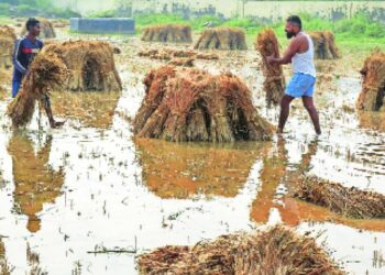 CM Eknath Shinde : राज्यात अवकाळी पावसाने झालेल्या नुकसानाने अंदाजे 99 हजार 381 हेक्टर क्षेत्र बाधित