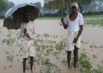 RAIN UPDATE : महाराष्ट्रावर अवकाळी पावसाचं संकट कायम; आज ‘या’ जिल्ह्यांत गारपिटीची शक्यता