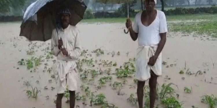 RAIN UPDATE : महाराष्ट्रावर अवकाळी पावसाचं संकट कायम; आज ‘या’ जिल्ह्यांत गारपिटीची शक्यता