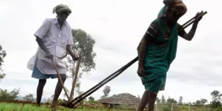 कृषी समृध्दी योजना : आत्महत्याग्रस्त शेतकऱ्यांच्या वारसांना मिळणार 1 लाखाची आर्थिक मदत; मंत्री अनिल पाटील यांची विधानसभेत माहिती