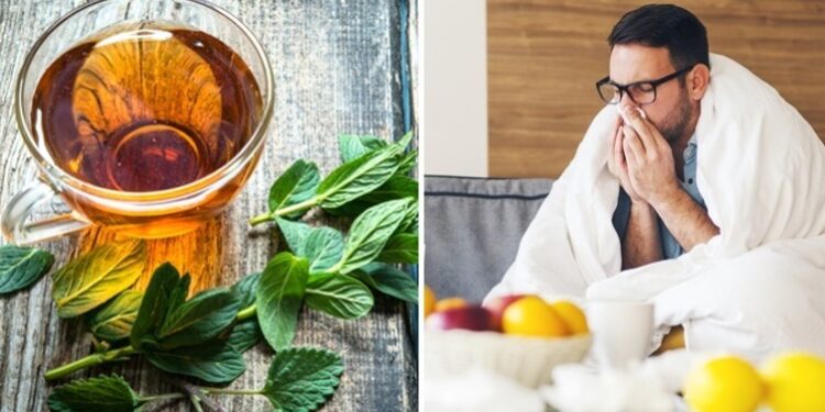 ‘CORONA’ परत येतोय ! नकोना ? मग कोरोना आणि साथीच्या आजारांपासून दूर राहण्यासाठी ‘हा’ काढा रोज एकदा घ्या