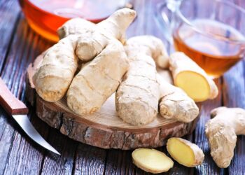 Benefits Of Ginger : हिवाळ्यात आल्याचा वापर ठरू शकतो फायद्याचा; जाणून घ्या फायदे