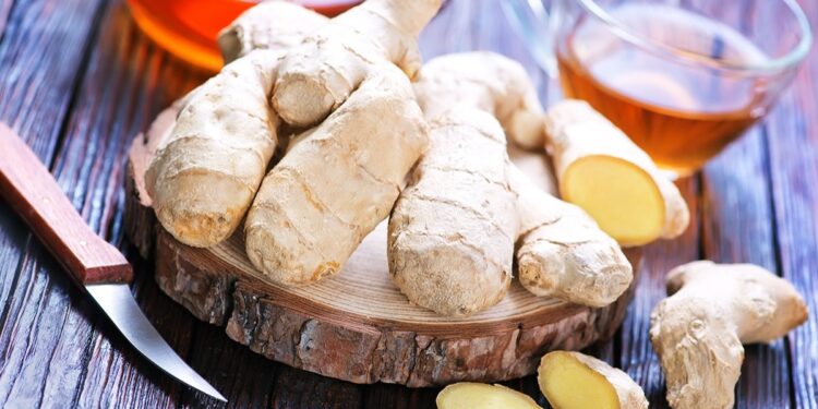 Benefits Of Ginger : हिवाळ्यात आल्याचा वापर ठरू शकतो फायद्याचा; जाणून घ्या फायदे