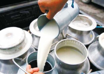 दूध उत्पादक शेतकऱ्यांना मोठा दिलासा ! दुधासाठी 5 रुपये प्रति लिटर अनुदान