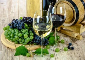 Wine Industry Development : राज्यात वाईन उद्योग विकसित करण्यासाठी द्राक्ष शेतकऱ्यांच्या हितासाठी वाईन उद्योगास प्रोत्साहन योजना