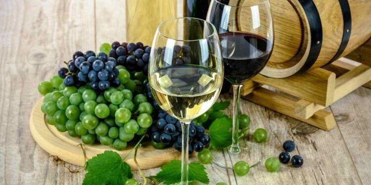 Wine Industry Development : राज्यात वाईन उद्योग विकसित करण्यासाठी द्राक्ष शेतकऱ्यांच्या हितासाठी वाईन उद्योगास प्रोत्साहन योजना