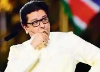 Lok Sabha Elections : राज ठाकरे महाविकास आघाडीमध्ये जाणार ? ठाकरे म्हणतात पुढे ठरवू काय करणार, अजून वेळ आहे !