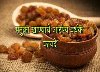 HEALTH CARE : फक्त 8 दिवस सलग मूठभर मनुका खा ! बद्धकोष्ठता, हृदयरोग आणि त्वचेच्या समस्यांवर सर्वात सोपा आणि स्वस्त उपाय