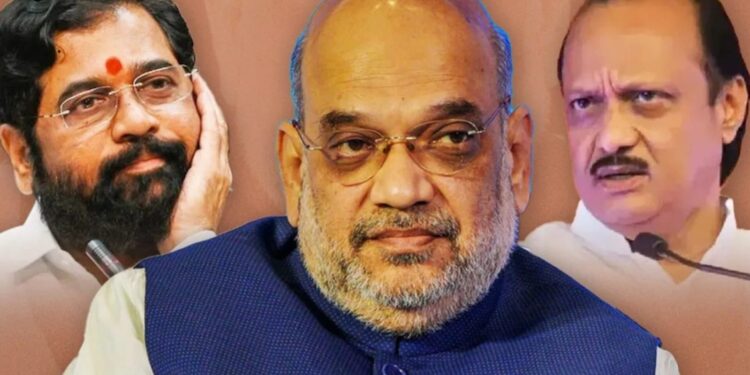 लोकसभा जागावाटप तिढा : शिंदे-पवार गटाच्या पारड्यात आतापर्यंत जागावाटपासाठी झालेल्या बैठकांन इतका तरी आकडा येणार का ? अंतिम जागावाटप निर्णय दिल्लीतूनच होणार