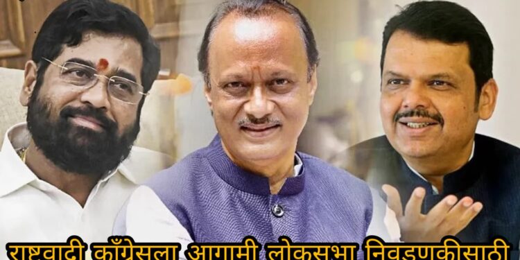 Lok Sabha Elections 2024 : महायुतीचे उमेदवार ठरण्यास विलंब का होतोय ? नेमका पेच कुठे ? वाचा सविस्तर