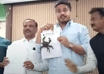 पत्रकार परिषदेत आणला जिवंत खेकडा ! साडेसहा हजार कोटी रुपयांचा घोटाळा केल्याचा रोहित पवारांनी केला आरोग्यमंत्र्यांवर आरोप, वाचा नेमकं प्रकरण