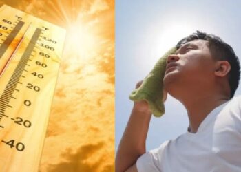 आला आला उन्हाळा, तब्येती सांभाळा ! उष्माघातापासून बचाव करण्यासाठी ‘ या ‘ टिप्स नक्की फॉलो करा