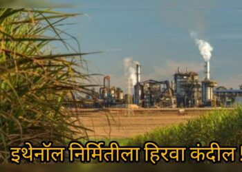 साखर उत्पादकांसाठी चांगली बातमी : इथेनॉल निर्मितीवरची बंदी केंद्र सरकारने हटवली, वाचा सविस्तर