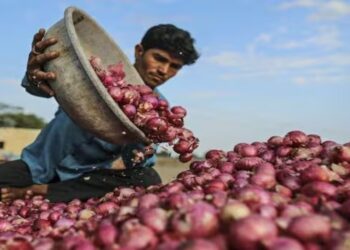 केंद्र सरकारचा कांदा निर्यातीवर हिरवा कंदील : मोदींचे कांदा उत्पादकांना मोठे गिफ्ट; 6 देशात निर्यातीवरील बंदी उठवली