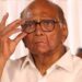 Sharad Pawar : सांगलीच्या जागेवरून शरद पवारांचे खळबळजनक वक्तव्य; म्हणाले, ‘ उमेदवारीबाबत टीव्हीवरच कळालं ! ‘