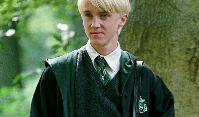 खरचं तर ! हॅरी पॉटर मधला कलाकार ड्रॅको मेलोफॉय दिसणार हिंदी वेब सिरीजमध्ये