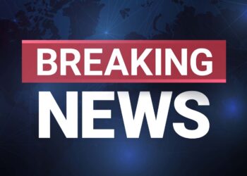 Big News : सोलापुरात मतदाराचा EVM पेटवून देण्याचा प्रयत्न !