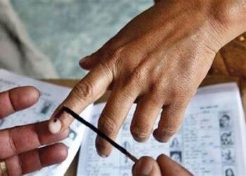 Lok Sabha Election Updates : 13 मतदारसंघात सायंकाळी 5 वाजेपर्यंत 48.66 % मतदान; मुंब्रा आणि कळव्यात मतदान केंद्रांवर गोंधळ