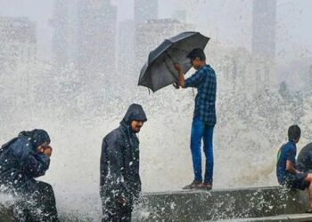 दिलासादायक बातमी : यंदा पाऊस लवकर बरसणार ! केरळनंतर मान्सून तमिळनाडूमध्ये दाखल