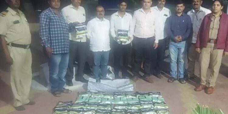 बळीराजा सावध हो ! बोगस बियाणांची विक्री करून शेतकऱ्यांची फसवणूक; जिल्ह्यात बोगस बियाणे विक्रीचा धुमाकूळ