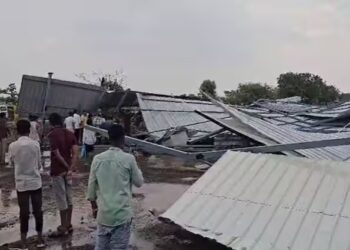 Rain Update : नाशिकमध्ये पावसाचा कहर ! दोघांचा मृत्यू, अनेक झाडे कोसळली, 25 कांदा शेड उध्वस्त